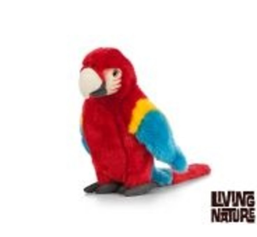 Stuffed Animal Macaw