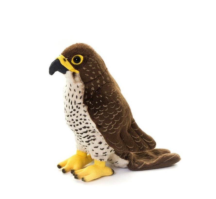 Stuffed Animal Peregrine Falcon