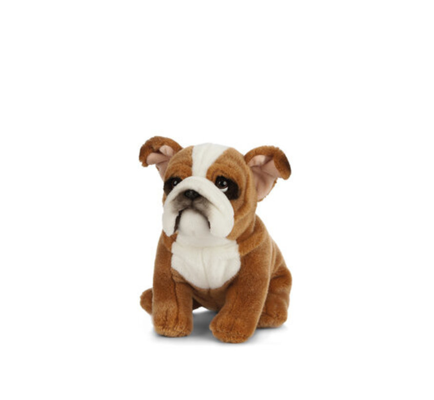 Knuffel Hond Engelse Bulldog