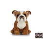 Knuffel Hond Engelse Bulldog