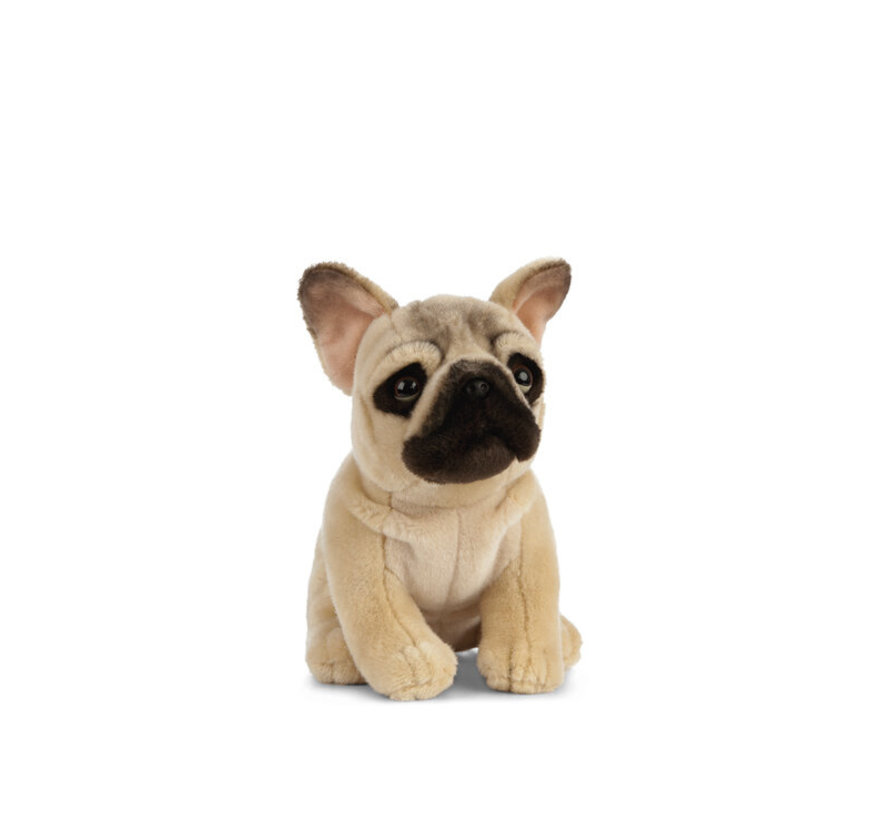 Knuffel Hond Franse Bulldog Zittend