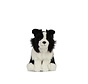 Knuffel Hond Border Collie