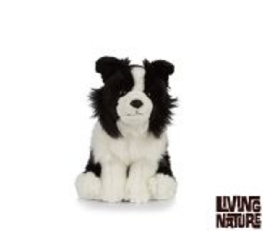 Knuffel Hond Border Collie