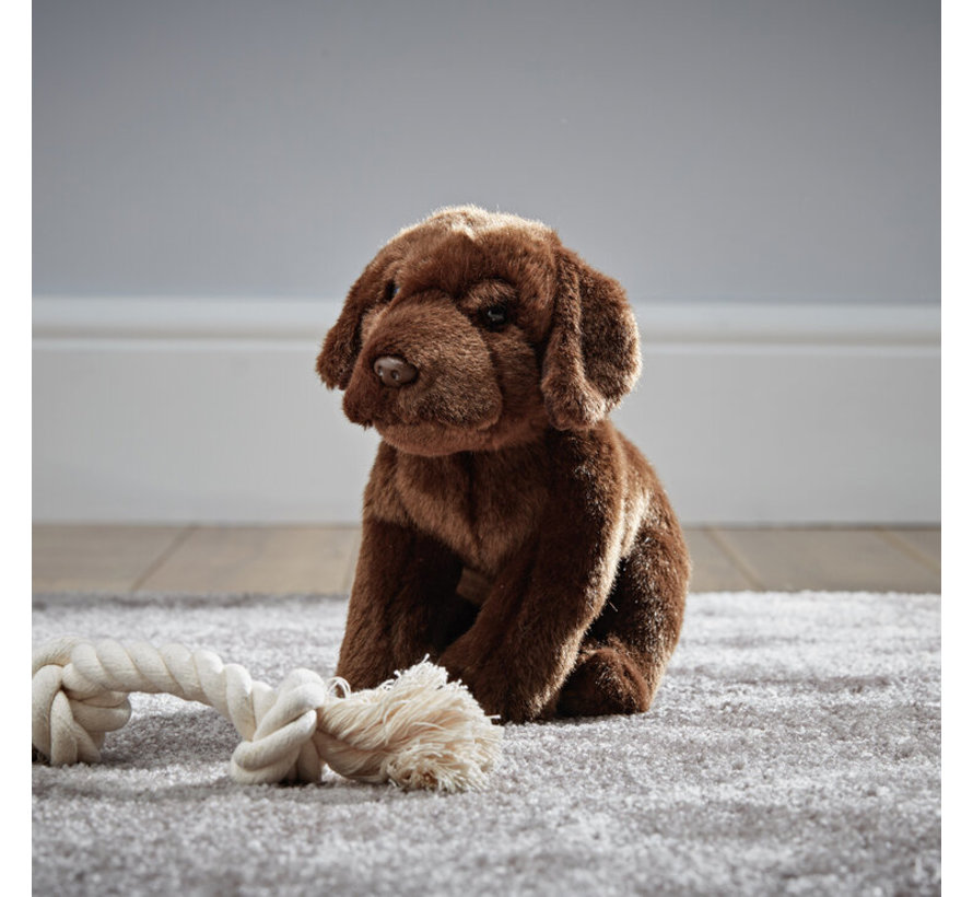 Knuffel Hond Labrador Chocoladebruin