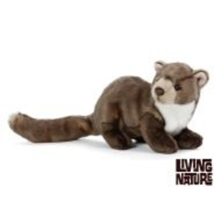 Stuffed Animal Pine Marten