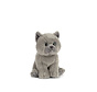 Stuffed Animal British Grey Shorthair Kitten