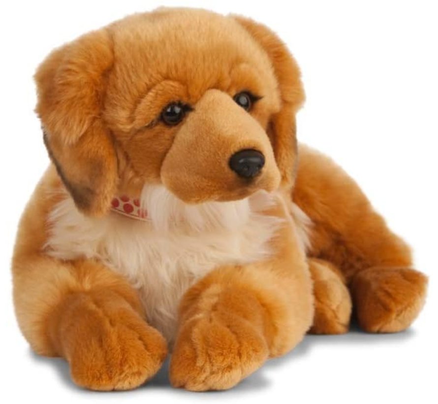 Knuffel Hond Golden Retriever 60 cm