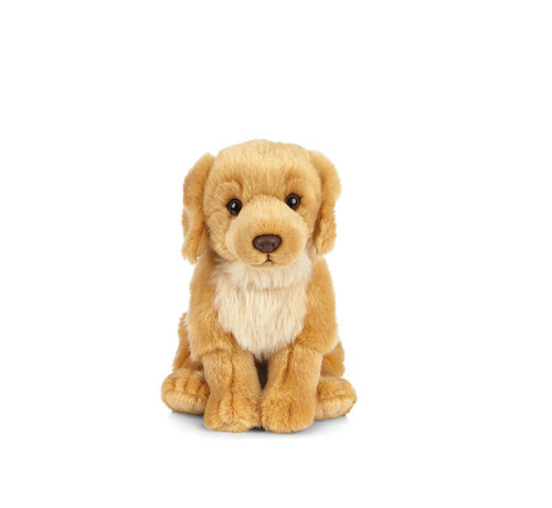 Living Nature Knuffel Hond Golden Retriever 20 cm