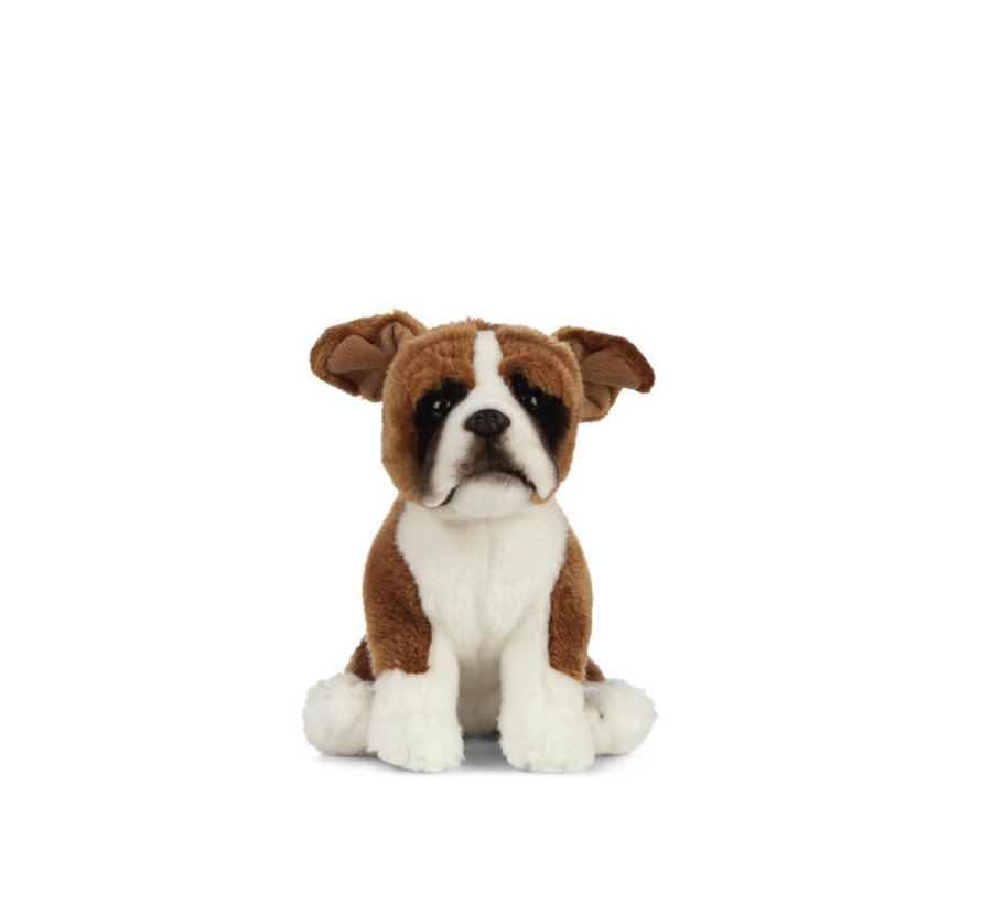 Knuffel Hond Boxer Zittend 20 cm