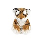 Stuffed Animal Tiger Cub