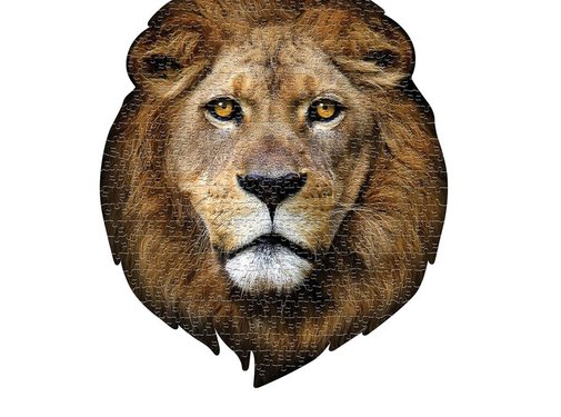 Madd Capp Puzzel Leeuw I AM Lion Poster Size 550pcs