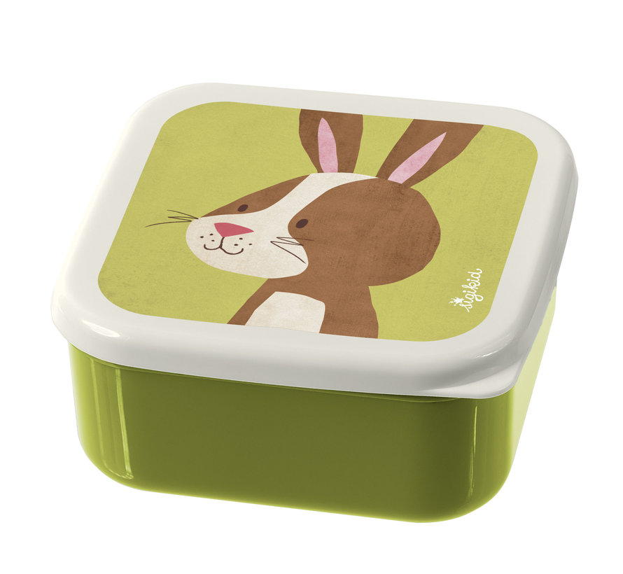 Three-piece set lunchbox rabbit