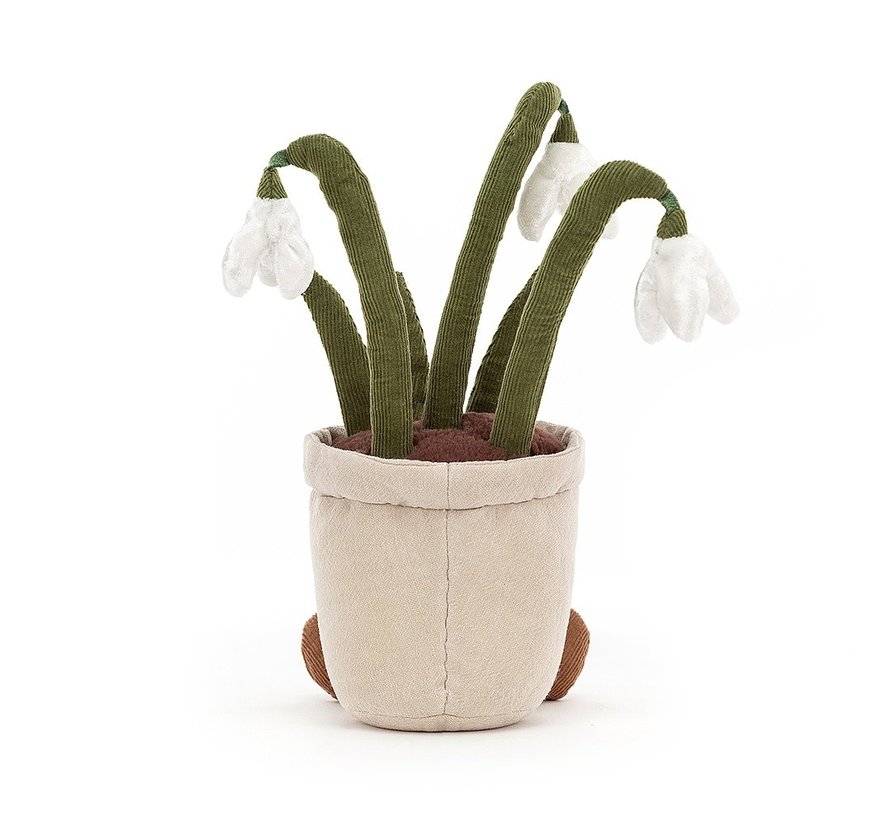 Amuseable Snowdrop