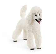 Schleich Hond Poedel 13917