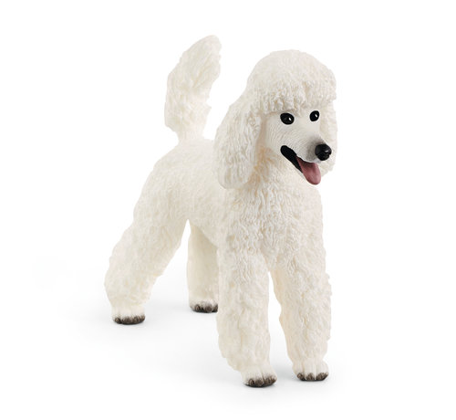 Schleich Hond Poedel 13917