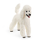 Poodle 13917