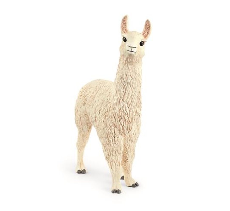 Llama 13920