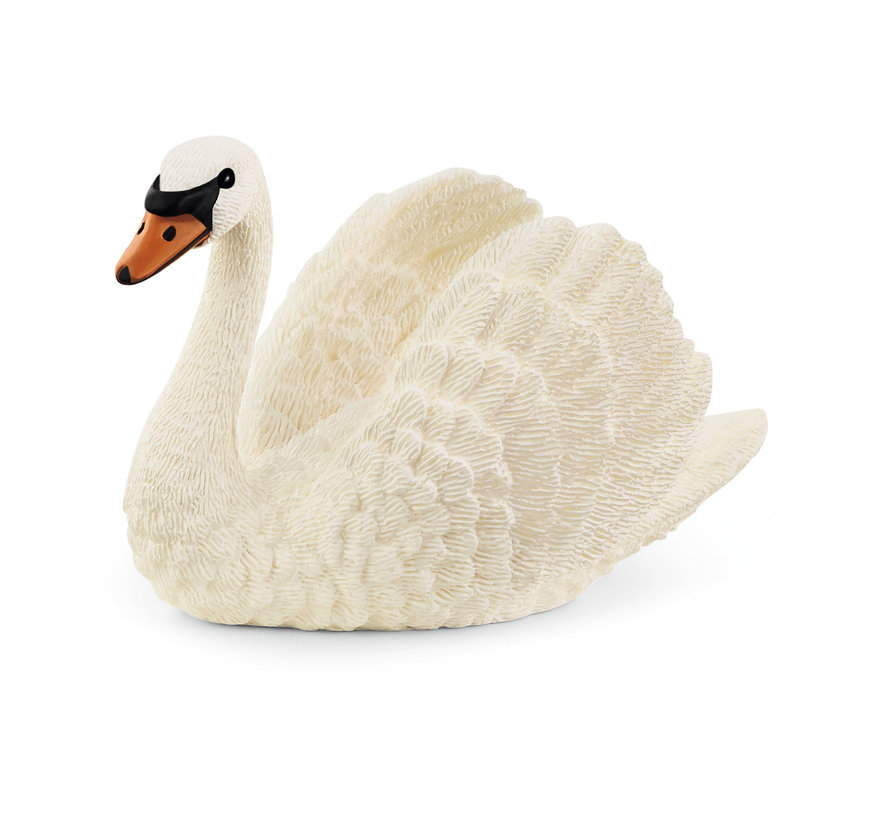 Swan 13921