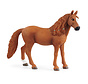German Riding Pony Mare 13925