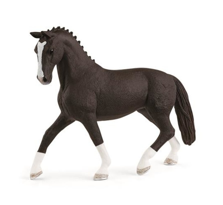 Hannoverian Mare Black 13927