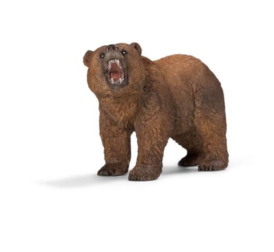 Grizzly Bear 14685