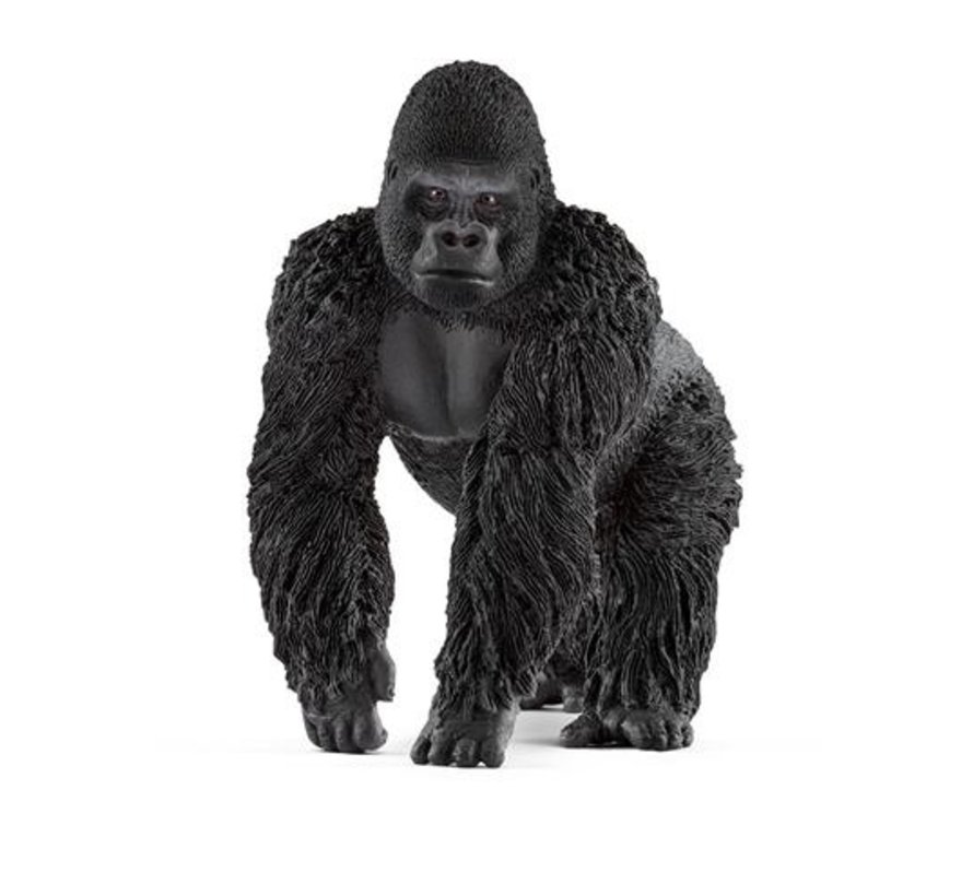 Gorillamannetje 14770