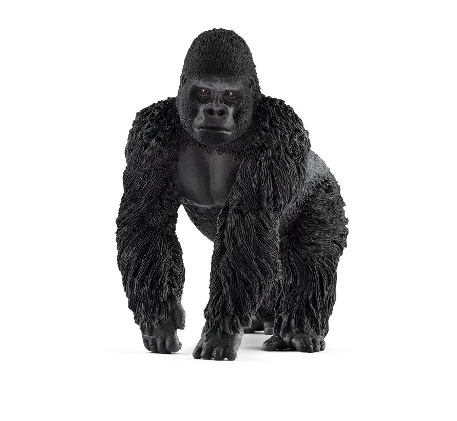 Gorilla Male 14770