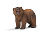 Grizzly Bear 14685