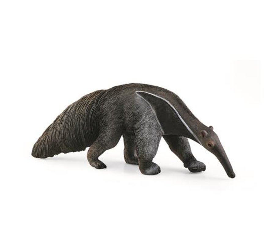 Anteater 14844