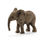 African Elephant Calf 14763