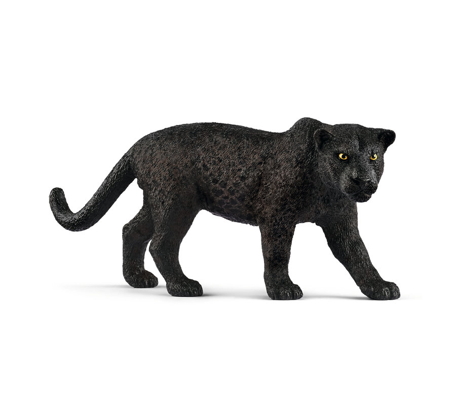 Black panther 14774