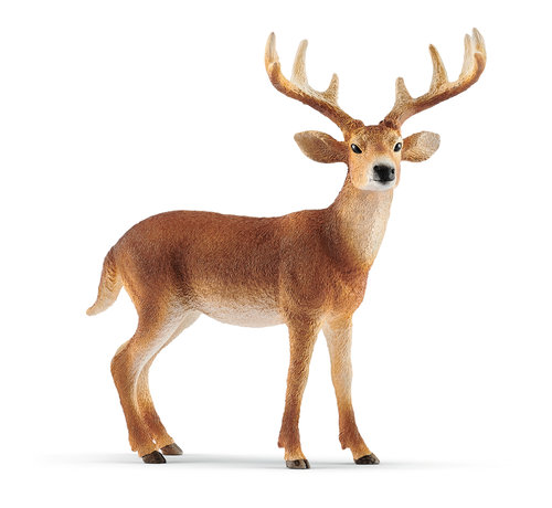 Schleich White-Tailed Buck 14818