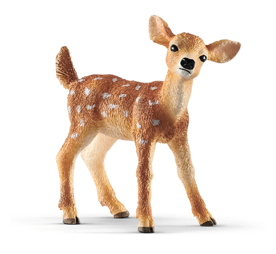 White-Tailed Fawn 14820
