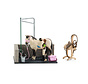 Wasbox voor Paarden 42104