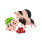 Miniature Pig Mother and Piglets 42422