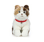 Stuffed Animal Scottish Fold Cat