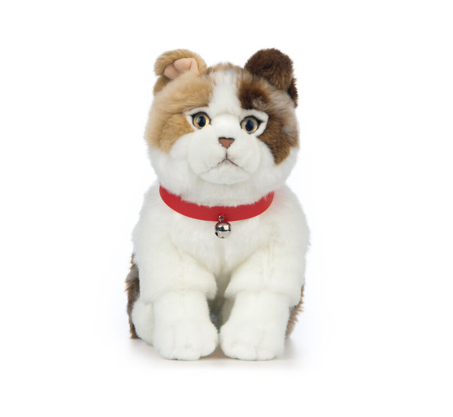 Stuffed Animal Scottish Fold Cat