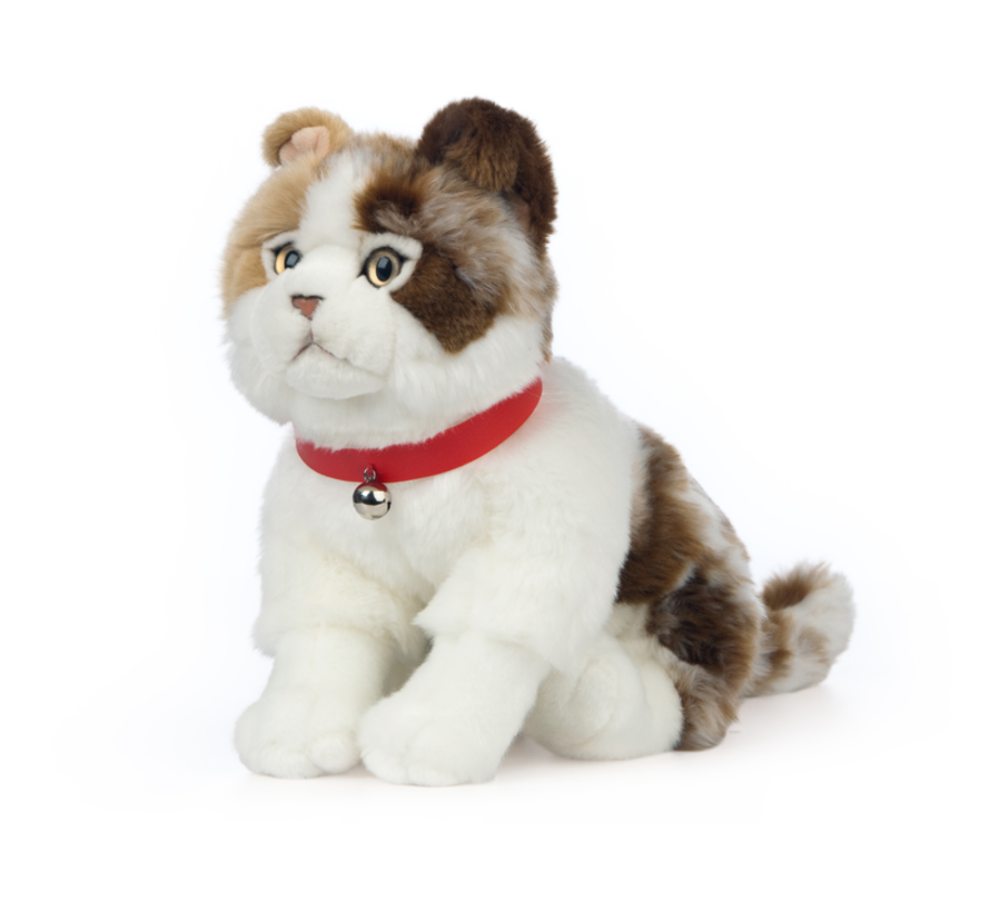 Stuffed Animal Scottish Fold Cat