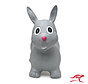 Rabbit Grey