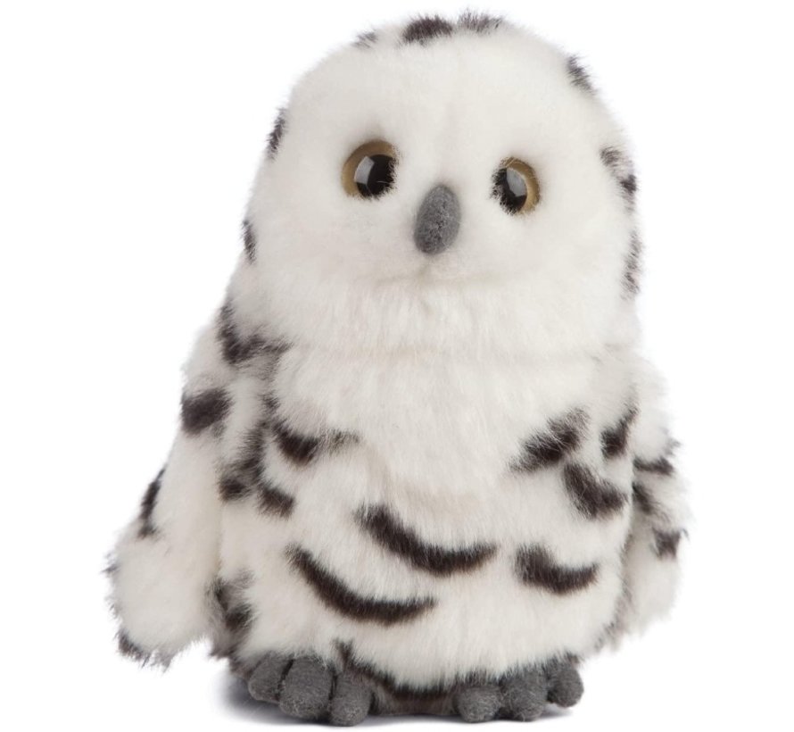 Smols Snowy Owl