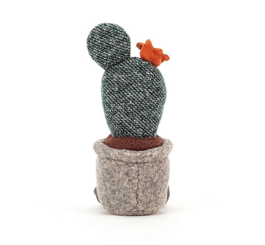 Silly Succulent Prickly Pear Cactus