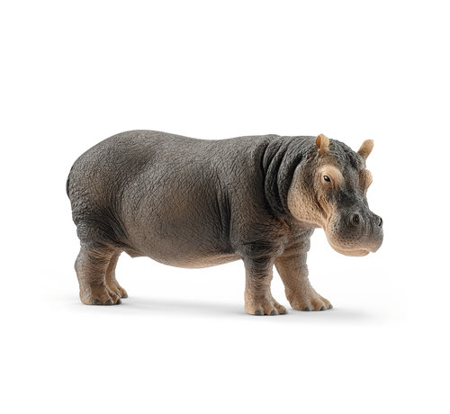 Schleich Hippopotamus 14814