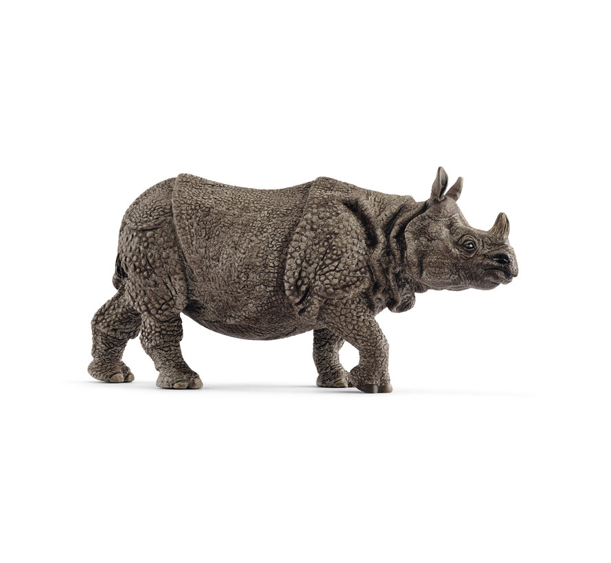 Indian Rhinoceros 14816