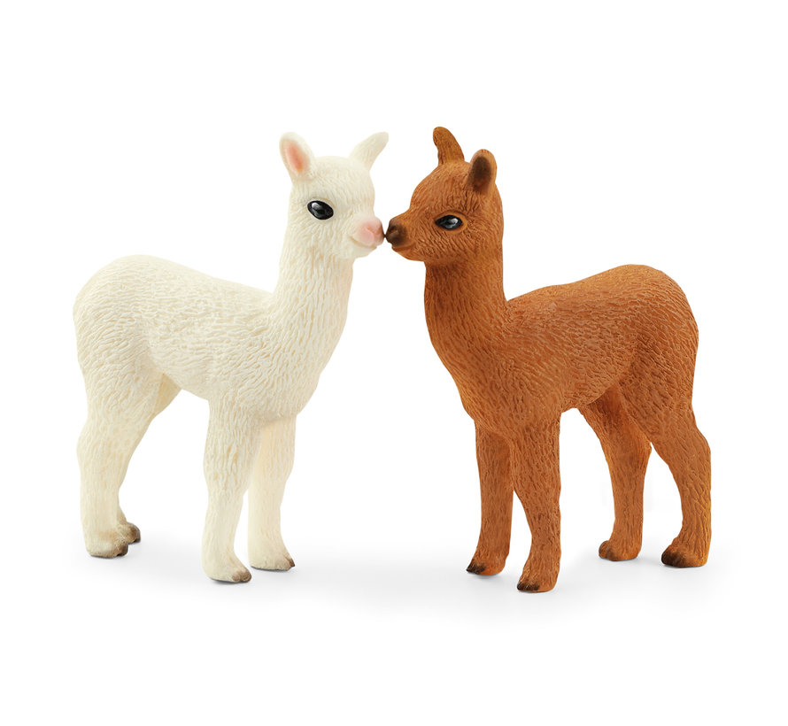 Alpaca Set 42544