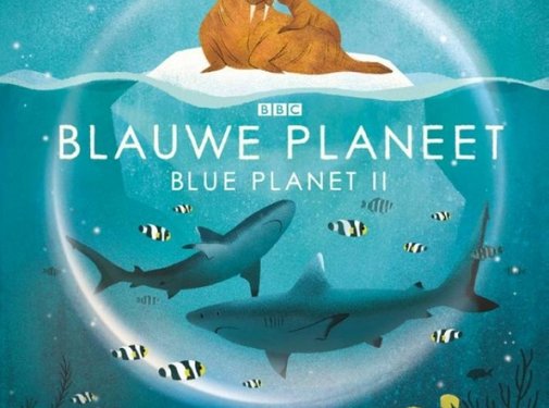 Lemniscaat Blauwe Planeet Blue Planet II