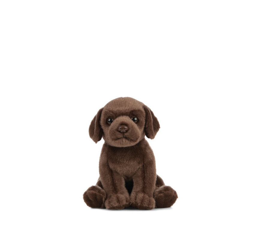 Knuffel Hond Puppy Labrador Chocoladebruin