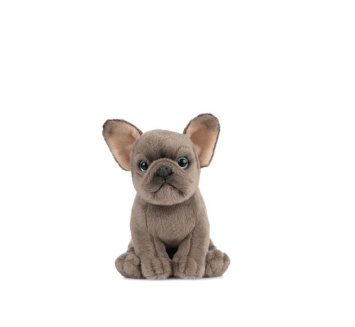 Living Nature Knuffel Hond Franse Bulldog Puppy 16 cm