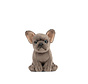 Knuffel Hond Franse Bulldog Puppy 16 cm