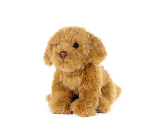 Living Nature Knuffel Hond Cavapoo 20 cm