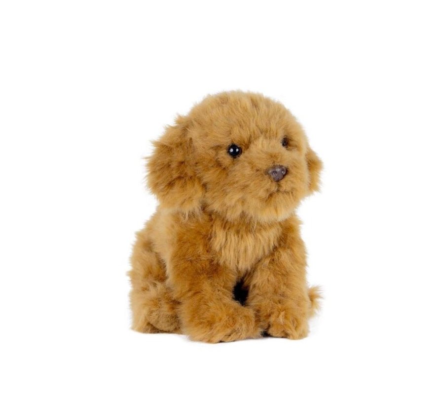 Knuffel Hond Cavapoo 20 cm